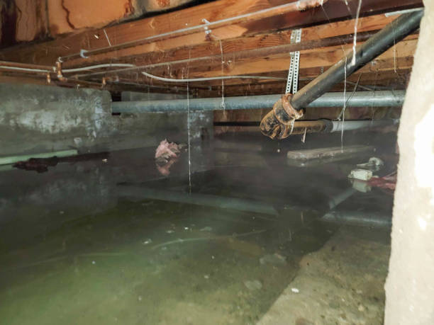 Best Water damage restoration near me  in Rose Valley, PA