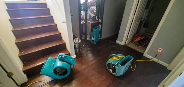 Best Professional water damage repair  in Rose Valley, PA