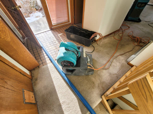 Best Ceiling water damage repair  in Rose Valley, PA