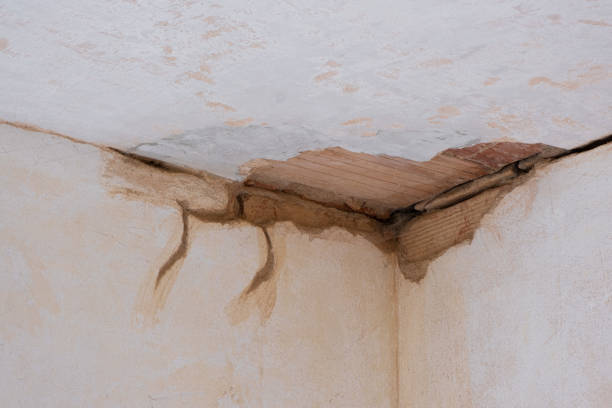 Best Water damage restoration near me  in Rose Valley, PA