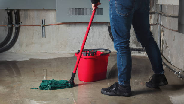 Best Carpet water damage restoration  in Rose Valley, PA