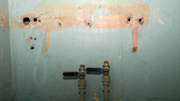 Best Flooded house restoration  in Rose Valley, PA