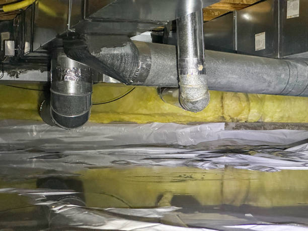 Best Sewage cleanup and water damage restoration  in Rose Valley, PA