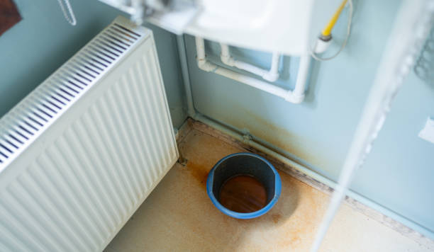 Best Water damage mitigation services  in Rose Valley, PA