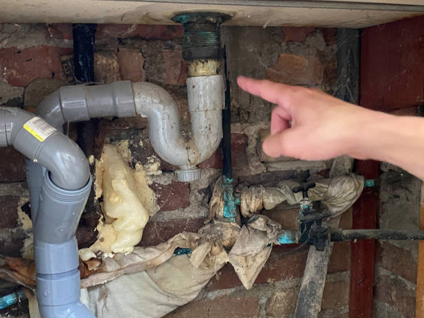 Best Mold removal after water damage  in Rose Valley, PA