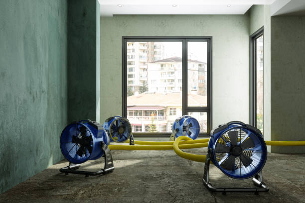Best Flood restoration services  in Rose Valley, PA