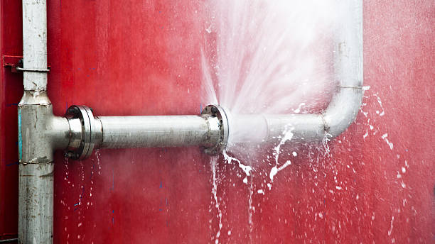 Best Professional water damage repair  in Rose Valley, PA